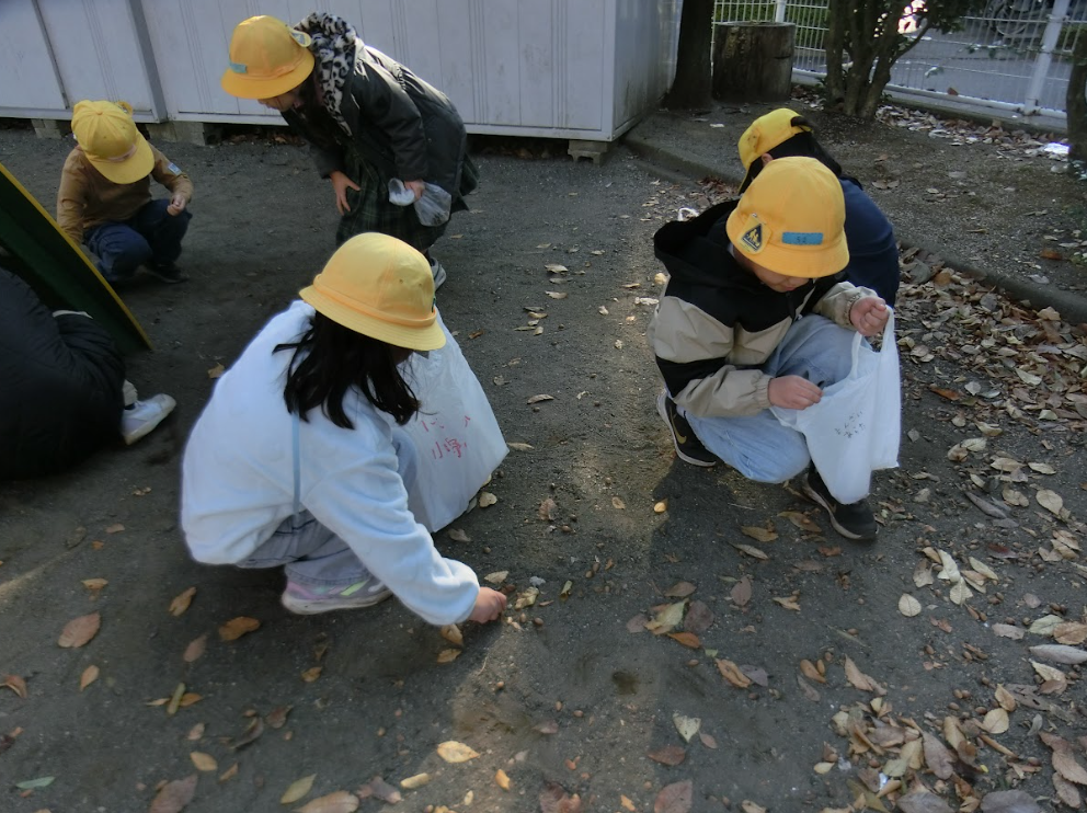 Screenshot 2025-12-17 18.08.52