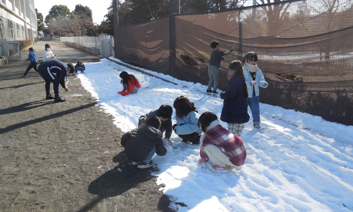 Screenshot 2026-02-26 15.09.41